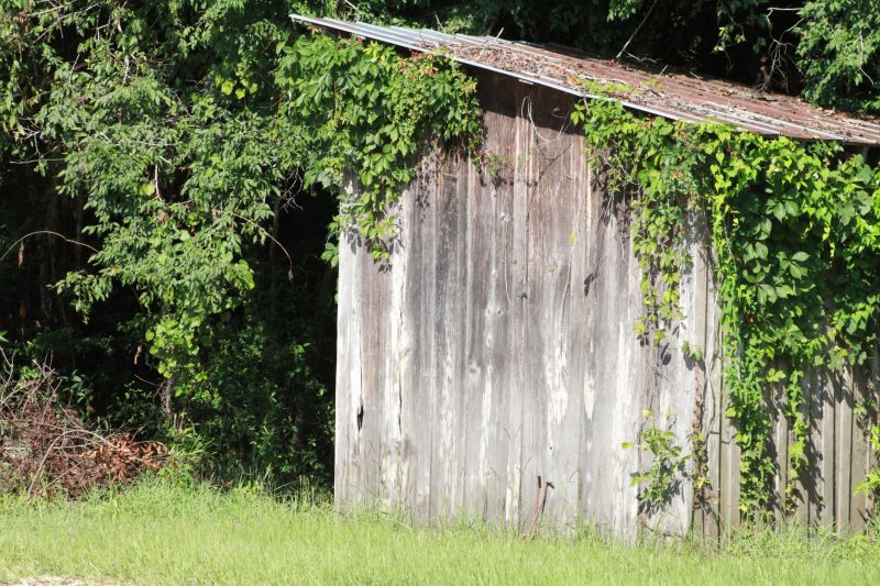 Shed Demolition in Bergen County, NJ